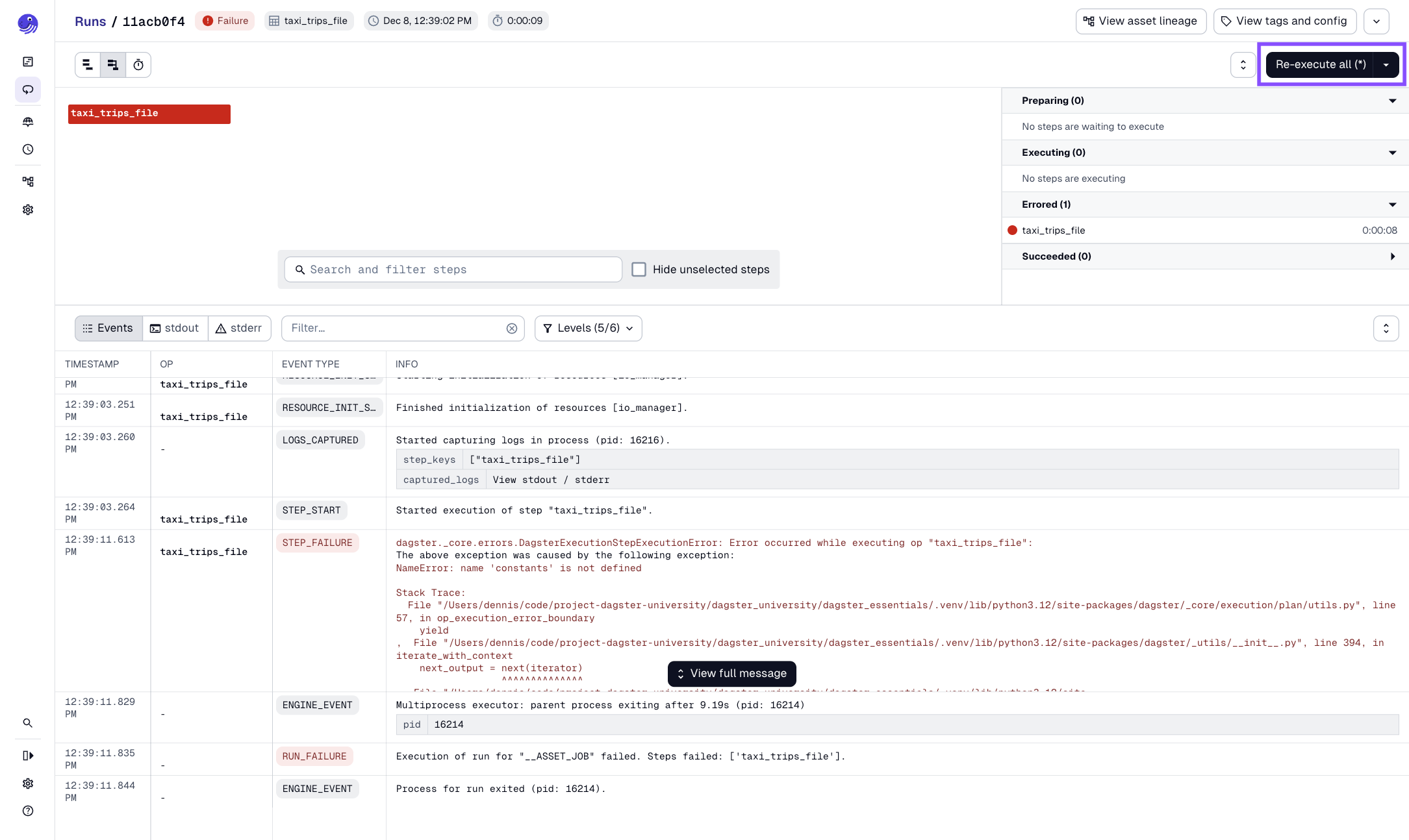 Highlighted Re-execute all button in the Run details page, located near the top-right corner